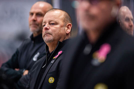 Brynäs tränare Niklas Gällstedt