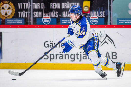 Leksands Arvid Eljas
