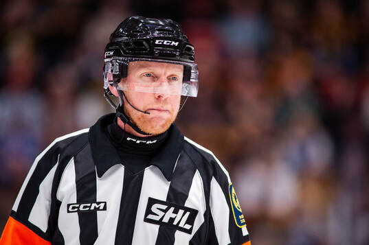 Domare Mikael Holm