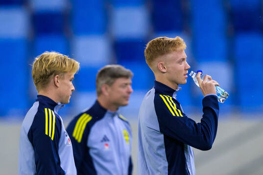 Daniel Svensson, head coach Jon Dahl Tomasson and Hugo