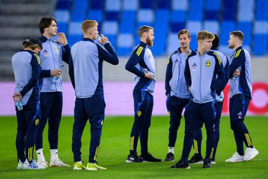 Sebastian Nanasi, goalkeeper Jacob Widell Zetterström,