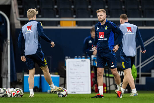 assistant coach Sebastian Larsson of the Swedish men's