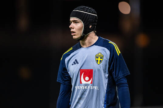 goalkeeper Jacob Widell Zetterström of the Swedish men's