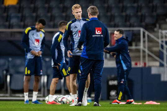 head coach Jon Dahl Tomasson and Hugo Larsson of the