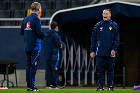 head coach Jon Dahl Tomasson and assistant coach Remy