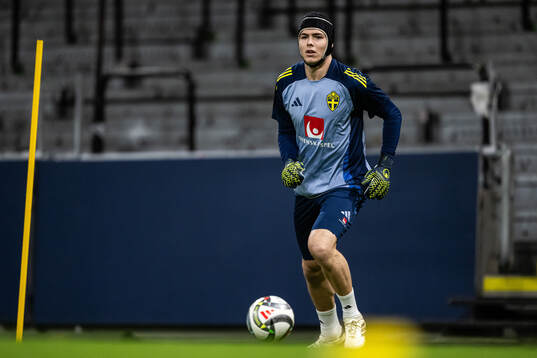 goalkeeper Jacob Widell Zetterström of the Swedish men's