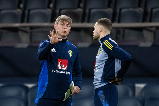 head coach Jon Dahl Tomasson and Gabriel Gudmundsson of the