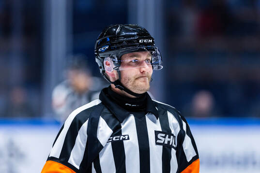 Domare Daniel Eriksson