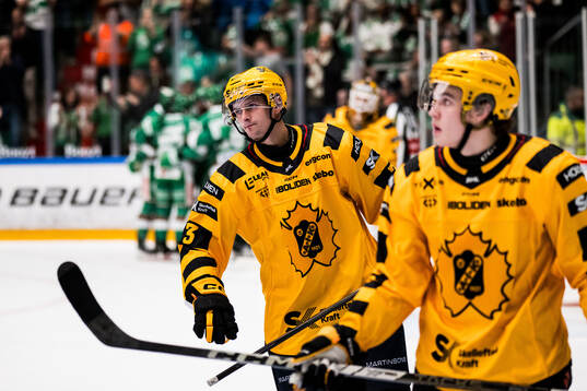 Skellefteås Ludvig Hedström deppar