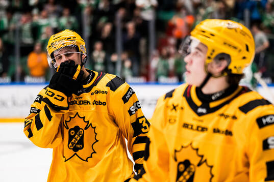 Skellefteås Ludvig Hedström deppar
