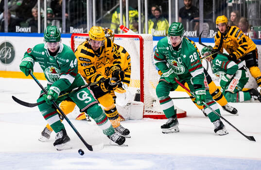 Rögles Jacob Peterson och Anton Bengtsson och Skellefteås