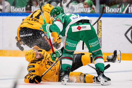 Rögles Anton Bengtsson och Skellefteås Marcus Eriksson
