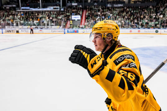 Skellefteås Anton Heikkinen jublar