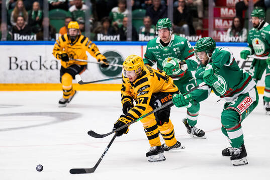 Skellefteås Pär Lindholm och Rögles Jesper Pettersson