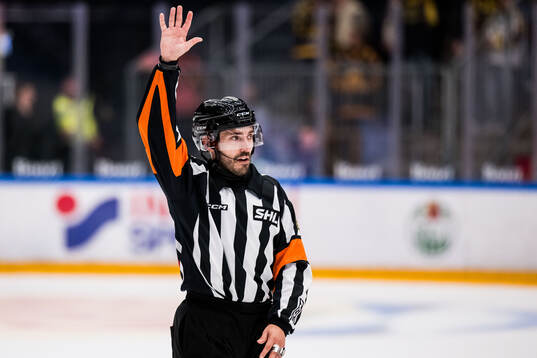 Domare Mattias Enroth
