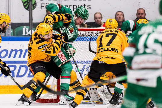 Rögles Albin Sundsvik och Skellefteås Arvid Lundberg
