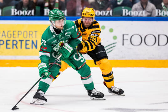 Rögles Jesper Pettersson och Skellefteås Oscar Lindberg