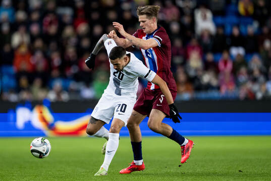 Petar Stojanovic of Slovenia and David Møller Wolfe of