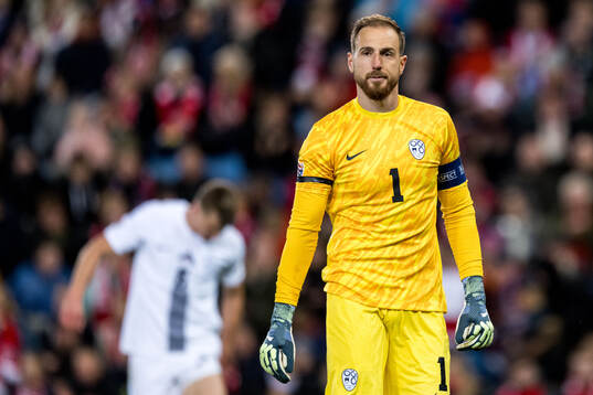 Goalkeeper Jan Oblak of Slovenia