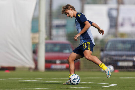 Maximilian Ibrahimovic of Sweden