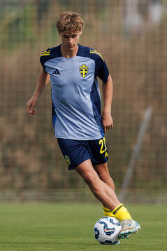 Maximilian Ibrahimovic of Sweden