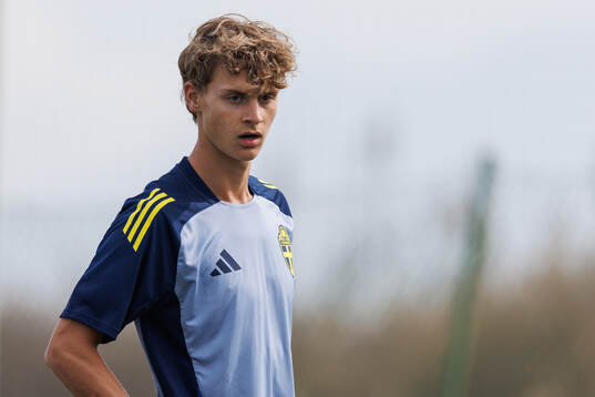 Maximilian Ibrahimovic of Sweden