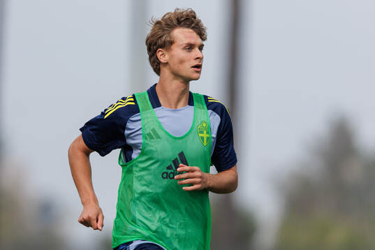 Maximilian Ibrahimovic of Sweden