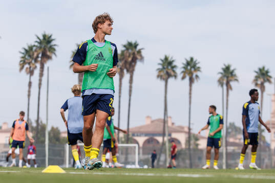 Maximilian Ibrahimovic of Sweden