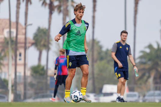 Maximilian Ibrahimovic of Sweden