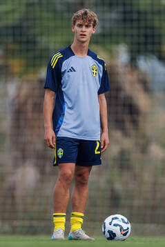Maximilian Ibrahimovic of Sweden