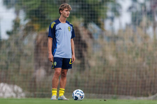 Maximilian Ibrahimovic of Sweden