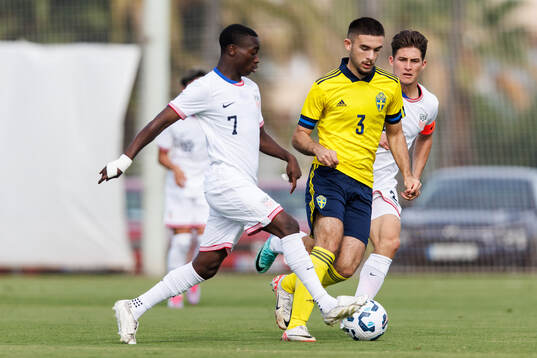 Albin Gashi of Sweden