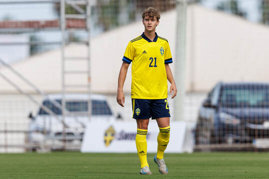 Maximilian Ibrahimovic of Sweden