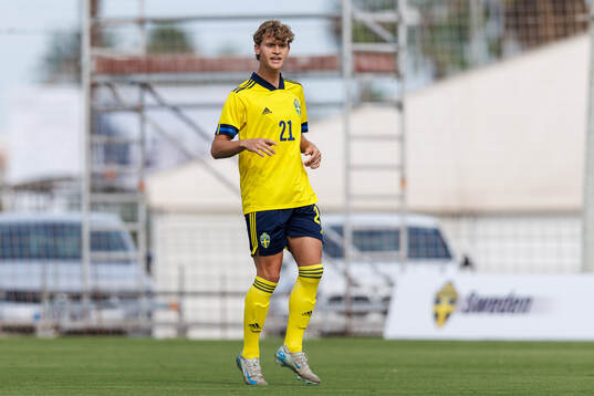 Maximilian Ibrahimovic of Sweden