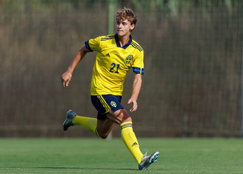 Maximilian Ibrahimovic of Sweden