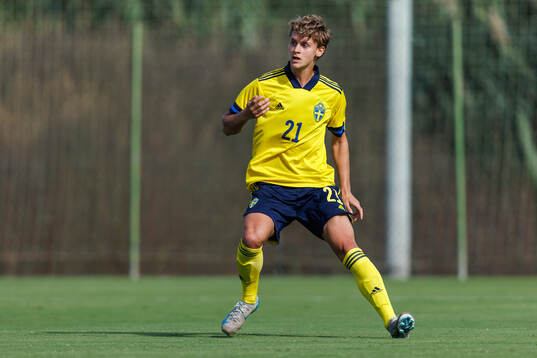 Maximilian Ibrahimovic of Sweden