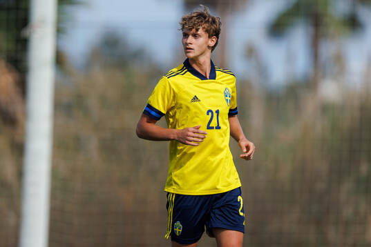 Maximilian Ibrahimovic of Sweden