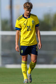 Maximilian Ibrahimovic of Sweden