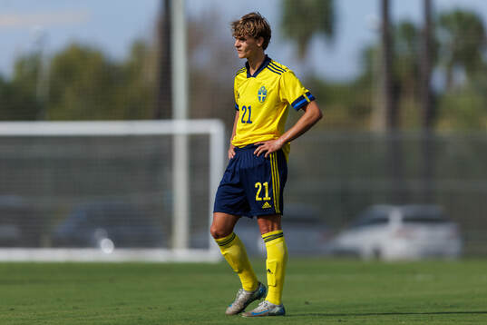 Maximilian Ibrahimovic of Sweden
