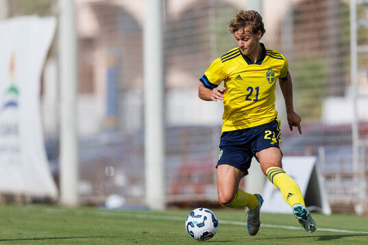 Maximilian Ibrahimovic of Sweden