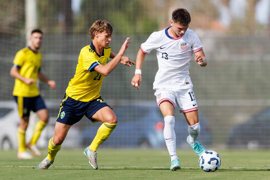 Maximilian Ibrahimovic of Sweden