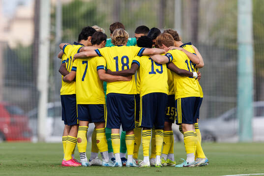 Players of Sweden