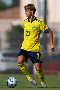 Maximilian Ibrahimovic of Sweden