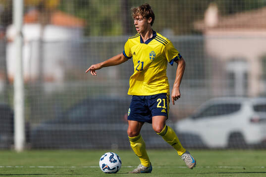 Maximilian Ibrahimovic of Sweden