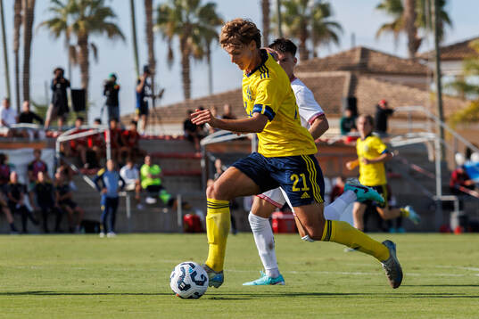 Maximilian Ibrahimovic of Sweden