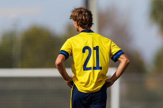 Maximilian Ibrahimovic of Sweden