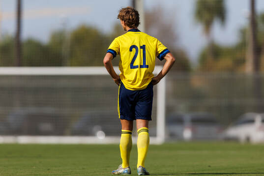 Maximilian Ibrahimovic of Sweden