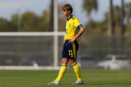 Maximilian Ibrahimovic of Sweden