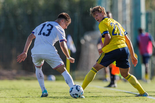 Maximilian Ibrahimovic of Sweden