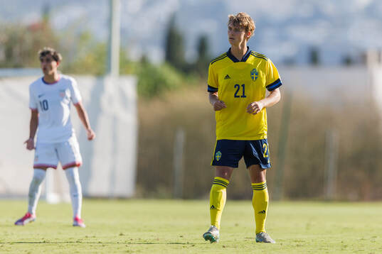 Maximilian Ibrahimovic of Sweden